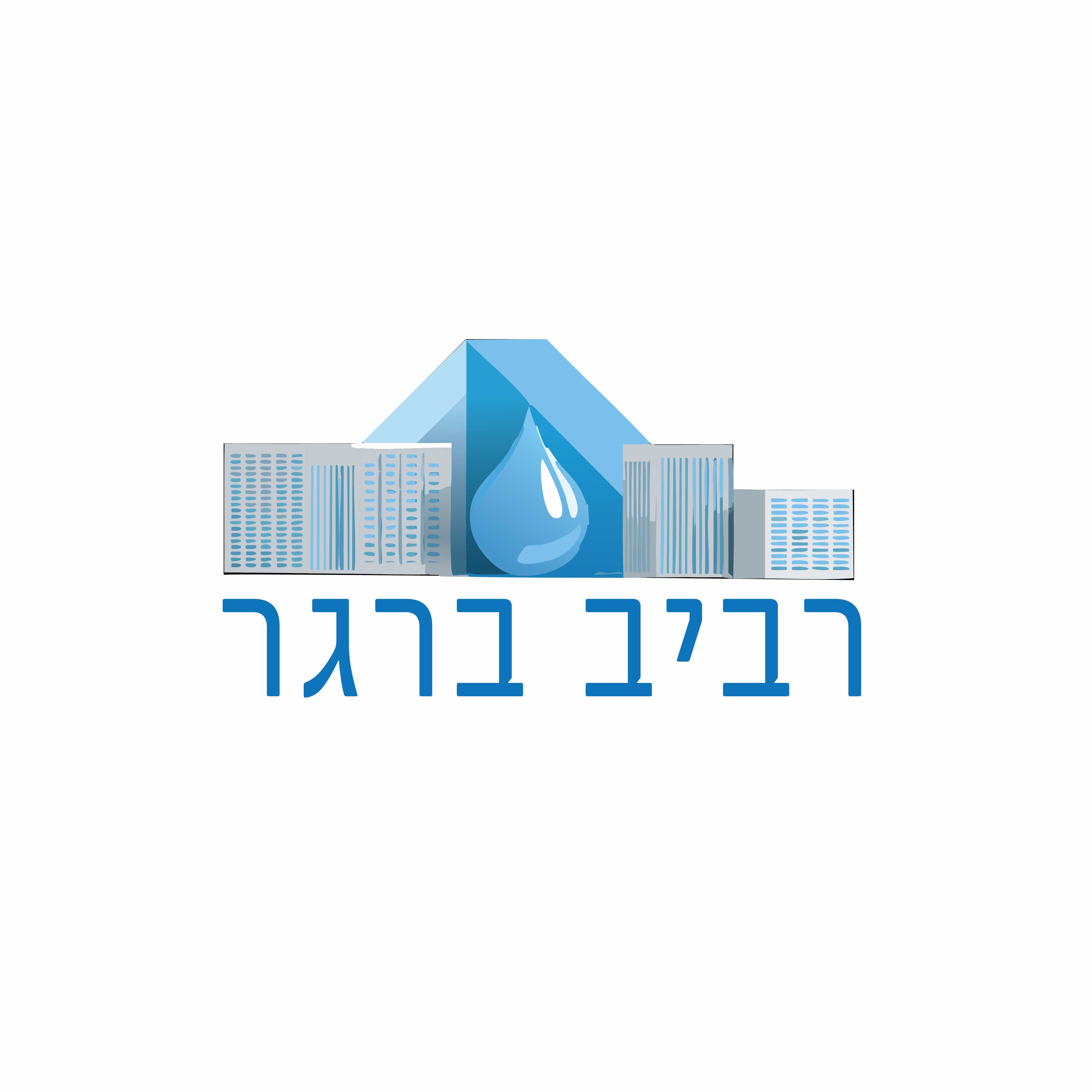 רביב ברגר - יועץ
